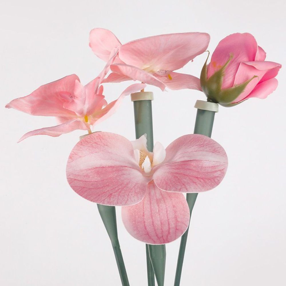 Florist Supply Shop - หลอดเก็บรักษาดอกไม้แบบใส ขวดพลาสติกใสสำหรับดอกไม้สดที่ตัดใหม่ ใช้สำหรับเก็บน้ำและสารอาหาร สำหรับร้านดอกไม้