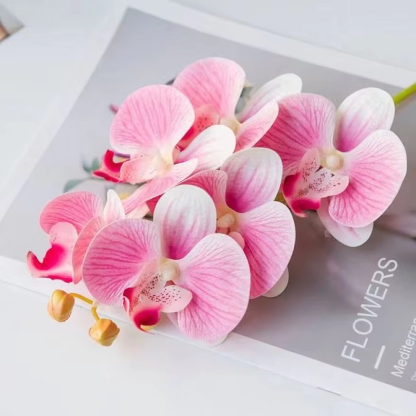 3D ประดิษฐ์ดอกไม้พลาสติก Butte - Florist Supply Vases บทวิจารณ์และราคา