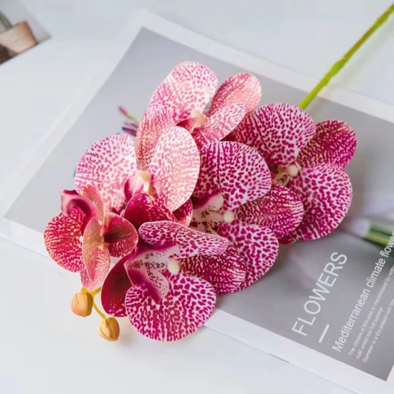3D ประดิษฐ์ดอกไม้พลาสติก Butte - Florist Supply Vases บทวิจารณ์และราคา