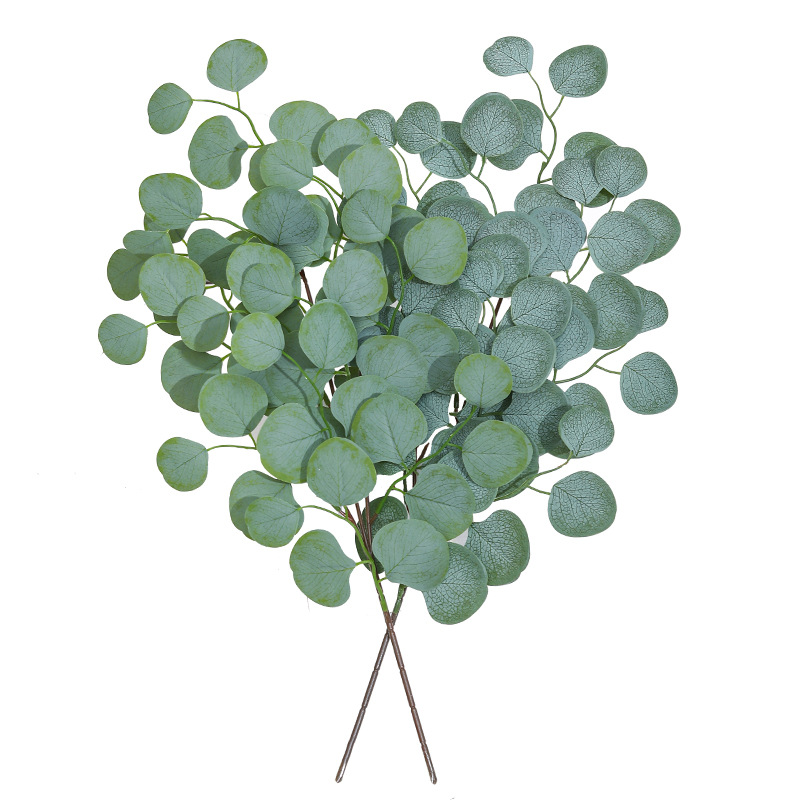แจกันตกแต่งคริสต์มาสใบยูคาลิปต - Florist Supply Vases บทวิจารณ์และราคา