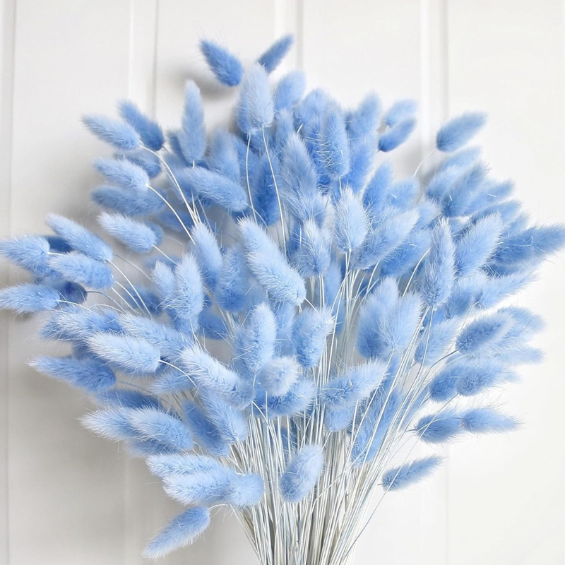 100PCS Blue Hare's-tail หญ้ากร - Florist Supply Vases บทวิจารณ์และราคา