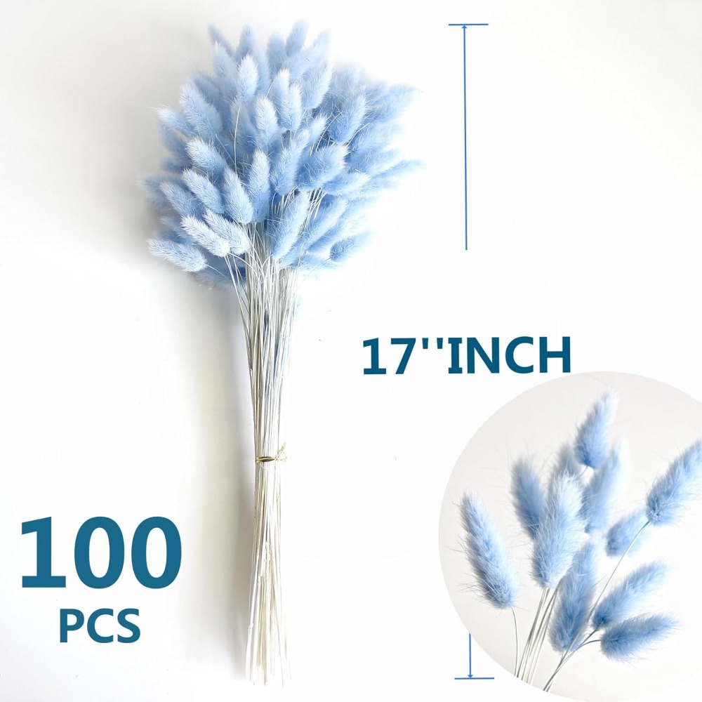 100PCS Blue Hare's-tail หญ้ากร - Florist Supply Vases บทวิจารณ์และราคา