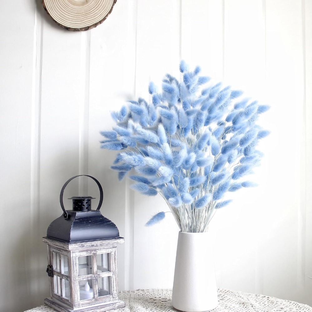 100PCS Blue Hare's-tail หญ้ากร - Florist Supply Vases บทวิจารณ์และราคา