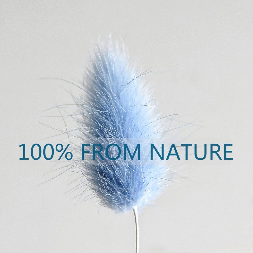 100PCS Blue Hare's-tail หญ้ากร - Florist Supply Vases บทวิจารณ์และราคา